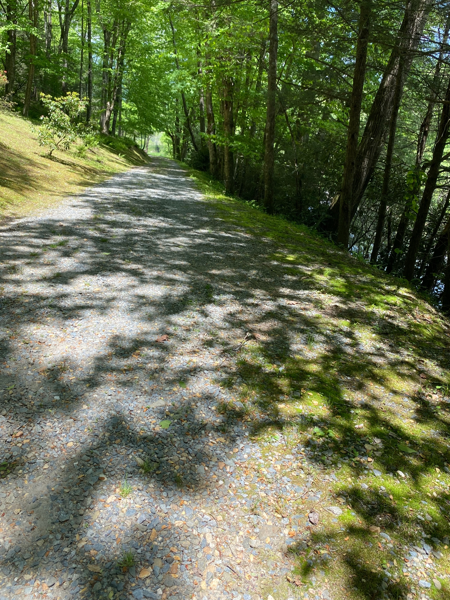 photo of path